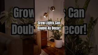 Grow Lights Can Easily Double As Home Decor! 💡🪴✨ #GrowLights #Plants #PlantCare #Shorts Grow Lights Can Easily Double As Home Decor! 💡🪴✨ #GrowLights #Plants #PlantCare #Shorts