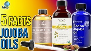 Jojoba Oils: 5 Fast Facts