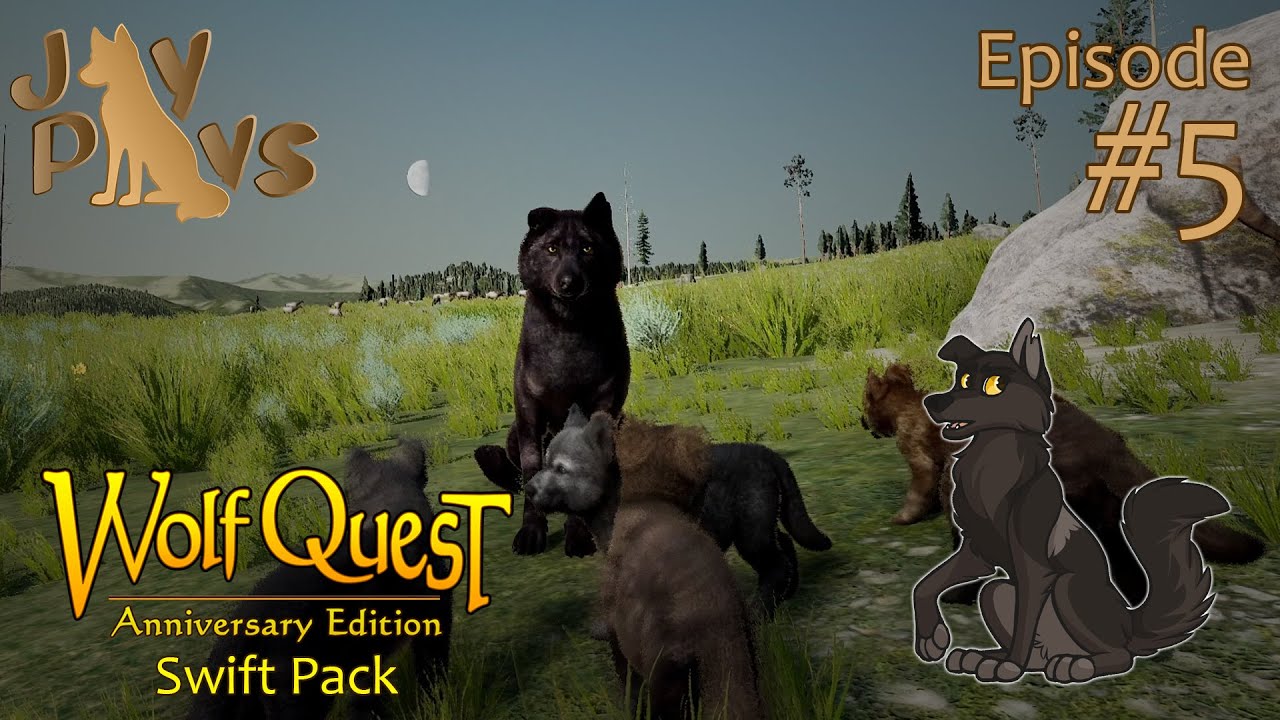 Birth of a Swift New Litter! | Moxie's Quest #5