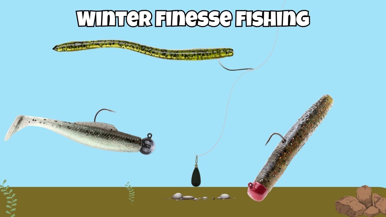The 3 Best Winter FINESSE Fishing Baits