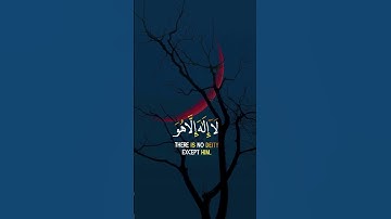 quran kareem surah Al-Muzzammil-القران الكريم سورة المزمل#عبدالرحمن_مسعد #القرآن_الكريم #quran 🌍