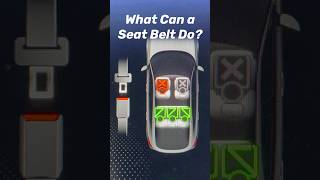 What does a seat belt do in a Honda? National Seat Belt Day!  #seatbelt #safety #carcrash #InTheKnow