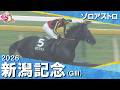 【 ゾロアストロがGI馬5頭を撃破】2026年新潟記念(GIII) ゾロアストロ【カンテレ公式】