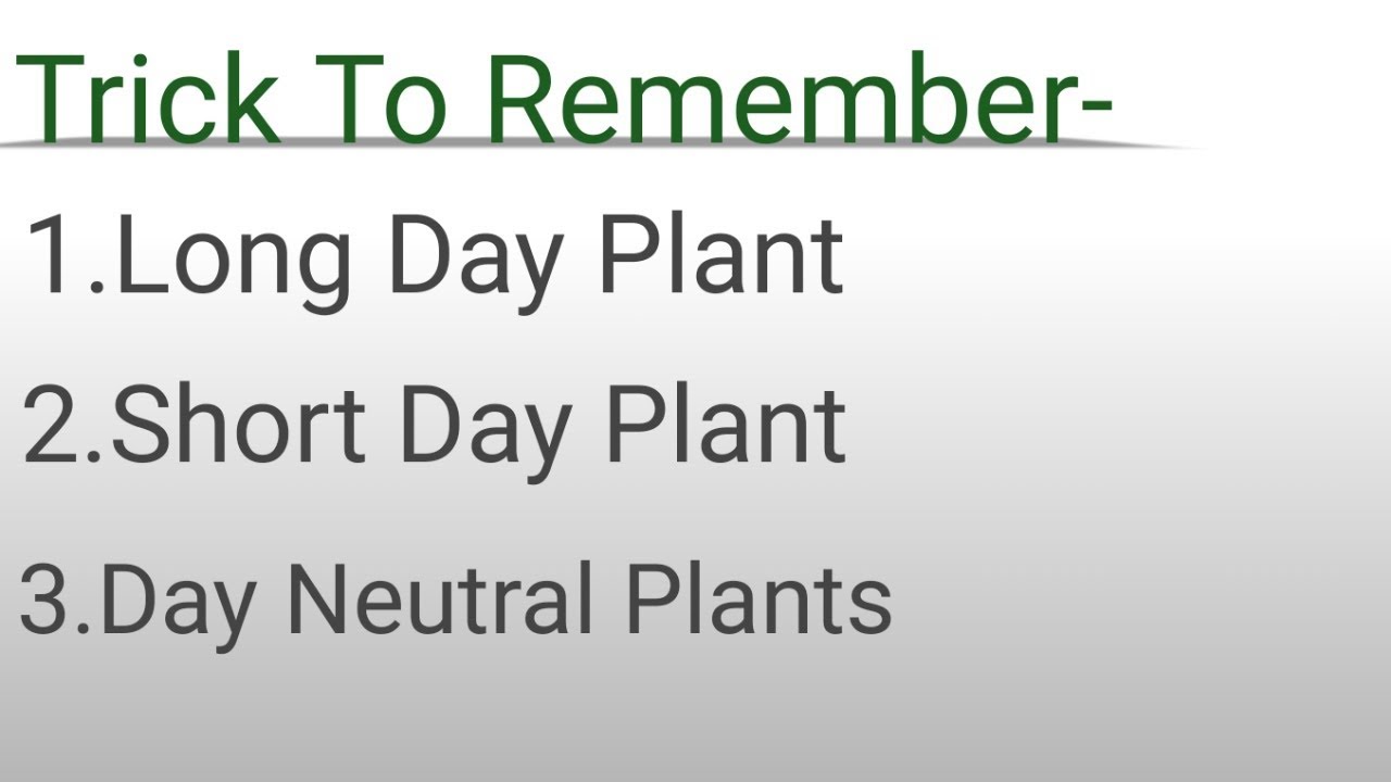 What are short-day and long-day plants?