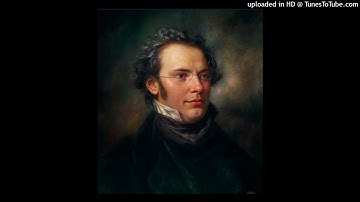 Franz Schubert - String Quartet No. 4 in C Major, D. 46 - ( 1813 )