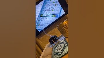 #قرآن_هادئ #تلاوة_خاشعة #يوم_الجمعة #اللهم_صل_وسلم_على_نبينا_محمد 🤲🎧
