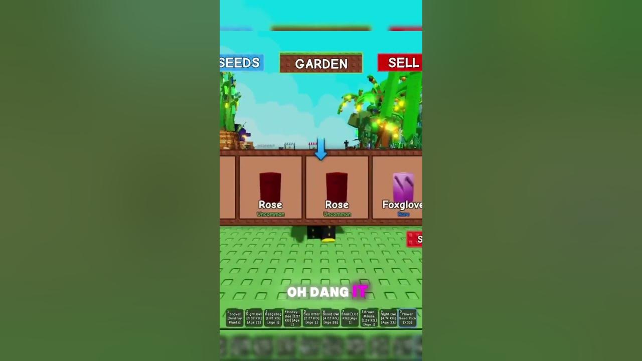 How I got the NEW SUNFLOWER in Roblox Grow a Garden! #roblox #robloxgames #robloxedit #growagarden How I got the NEW SUNFLOWER in Roblox Grow a Garden! #roblox #robloxgames #robloxedit #growagarden