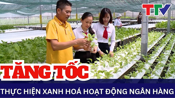 Ngân hàng nông nghiệp chi nhánh hoằng hóa thanh hóa năm 2024