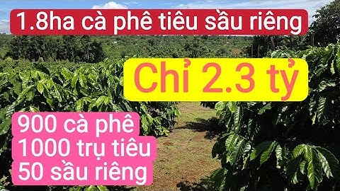 Bán gấp vườn cà phê tiêu sầu riêng rẻ thật, ôm suối lớn, đất đỏ bazan, bất động sản đất rẫy