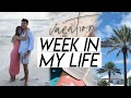 WEEK IN MY LIFE | beach vacation with family, turning 23, exploring rosemary beach florida!