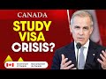 Canada Study Visa Crisis: 48% Drop in Approvals – What’s Going On? | Immigration Canada