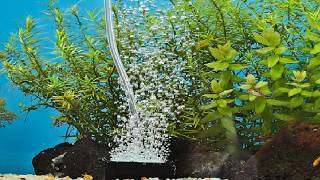 hygger Aquarium Air Stone Quiet Ultra High Dissolved Oxygen Diffuser Air Stones Review