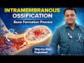 Intramembranous Ossification #anatomy #physiotherapist #medicaleducation 