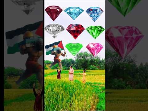 یا منزل القرآ ن يا خالق الانسان شکر یا رب    