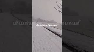 เดินในหิมะที่เนเธอร์แลนด์ Snow Walk in the Netherlands  #nature
