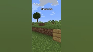 Minecraft backpacks are REAL