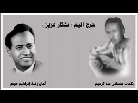 إبراهيم عوض جرح أليم تذكار عزيز 