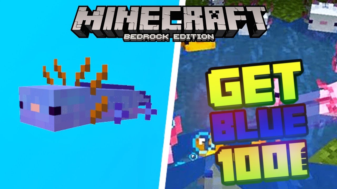 How to get Rare blue axolotl in Minecraft bedrock edition 100% working