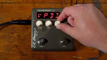 Voiceprint DI | Quickstart Guide