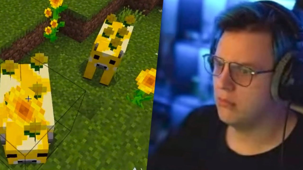 Пятерка Смотрит Сиды Кефтеме, КСГО2, Бархатные тяги, хокрайдер, СП create, Joper shop…