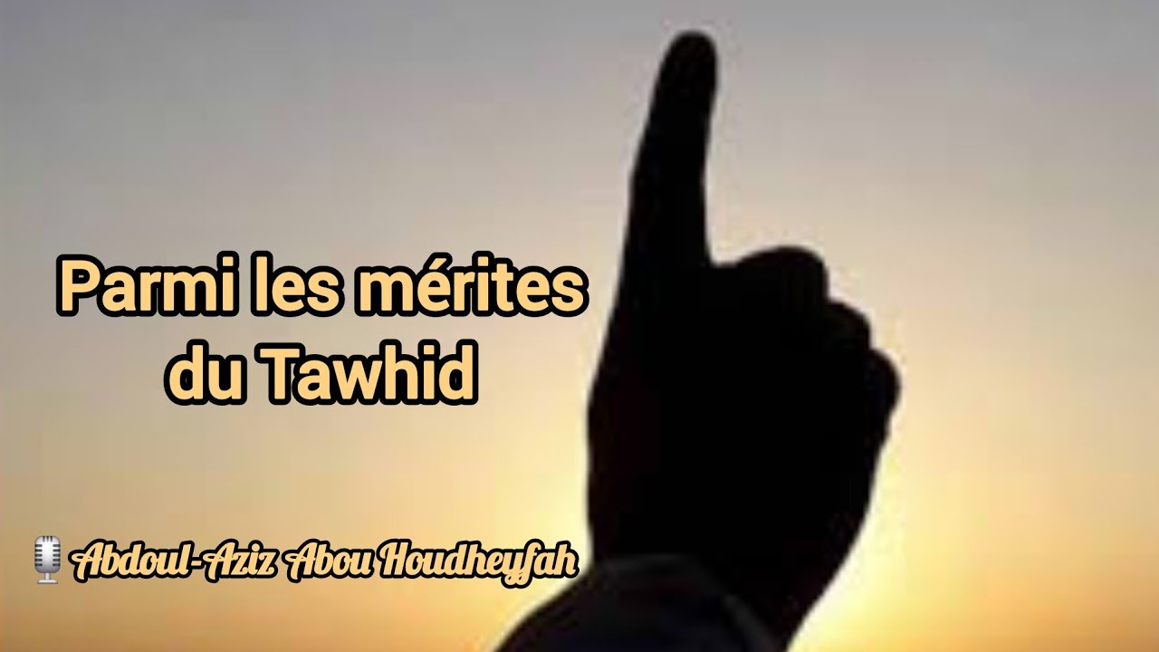 Parmi les mérites du Tawhid | Abdoul-Aziz Abou Houdheyfah 