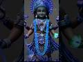 Shriman Narayan Narayan namo namah