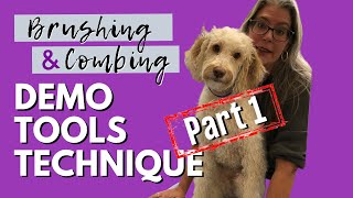 How to Brush and Comb Your Dog: Tools, Tips, and Demo - Part 1