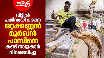 EP 08 | ഒറ്റക്കണ്ണൻ മൂർഖൻ പാമ്പ് ആള് ചില്ലറക്കാരനല്ല | Vava Suresh | Snakemaster