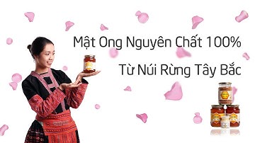 Mật Ong Nguyên Chất 100% Từ Núi Rừng Tây Bắc - Mật ong có tác dụng gì?