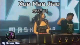 Xue Mao Jiao 学猫叫 Remix By Dj Brian Bie Tiktok Hot Song