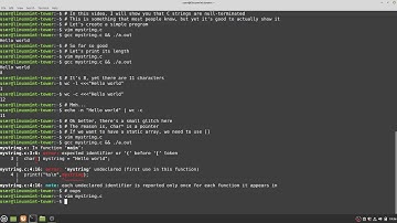 C Strings are terminated with a null character