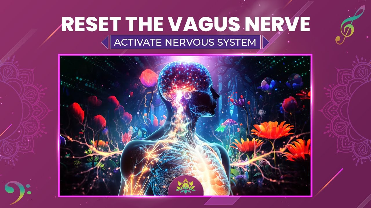 Reset The Vagus Nerve, Activate Nervous System - Heal Trauma, PTSD