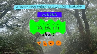 Enjoy The Mysterious Mounainengjpn神秘的な山歩き