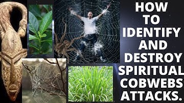 How to Identify and Destroy Spiritual Cobwebs Attacks.