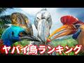 鳥肌デス!!やばい鳥類ランキング