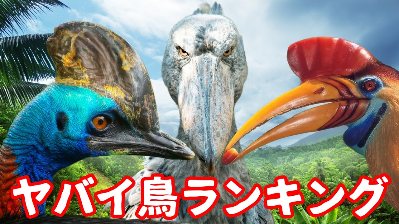 鳥肌デス!!やばい鳥類ランキング