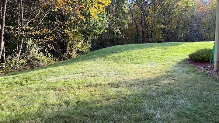 Yard walk around after ~7 hours of clean-up.