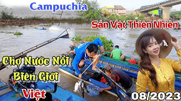 Cuộc Sống Vành Đai Biên Giới Campuchia Việt cận Mùa Nước Nổi Đặc Sản Chợ Cá Đồng | Nét Đẹp Miền Tây