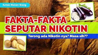 KMS : Fakta - Fakta Seputar Nikotin