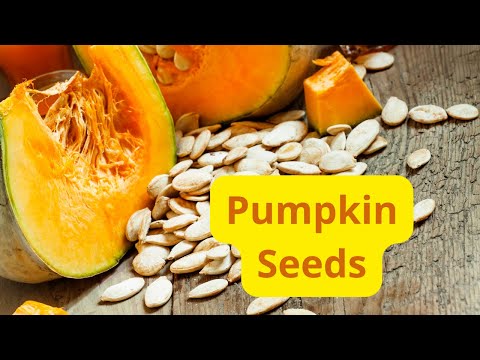 Pumpkin Seeds: From
