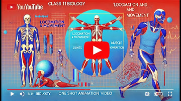CBSE Klas 11 || Biologie || Voortbeweging en Beweging || Animatie || in het Engels
