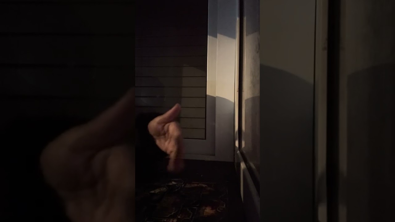 Divine Feminine in the making nipping things in the bud..This could’ve gotten real ugly real quick