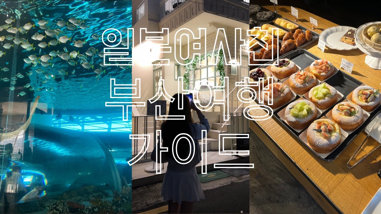 나고야에서 온 여사친 부산 가이드해주기