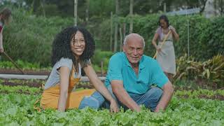 Harmony Horizons A Journey Of Balance, Unity, And Peace