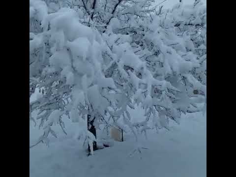 هوای سرد برفی