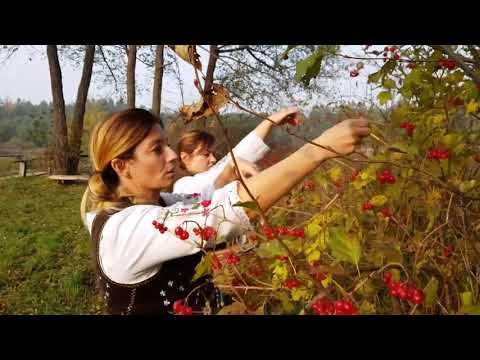 Malinowa dziewczyna w Czerwonym Młynie