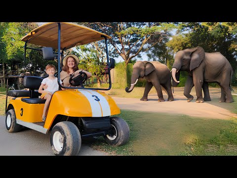 Видео: Zoo Safari Adventure Fun, Feeding, and Laughter with Leo and Mom!