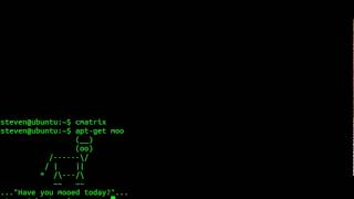 Playing With Ubuntu Terminal
