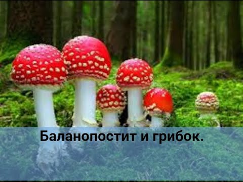 Молочница у мужчин. Баланопостит на фоне молочницы.