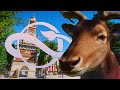 Christmas Markets Open! Fallow Deer Habitat Speedbuild 🦌 | Planet Zoo Europe Pack